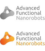Advanced Functional Nanorobots