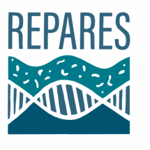 Repares (šířka 215px)