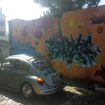 Grafitti a brouk v Sao Paulo