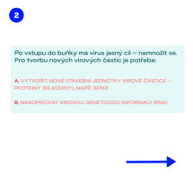 4 – Životní cyklus viru (3)