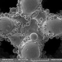 Porézní povrchy implantátu - snímek z elektronového mikroskopu - 200x_3