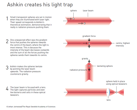 Ashkin creates his light trap (šířka 450px)