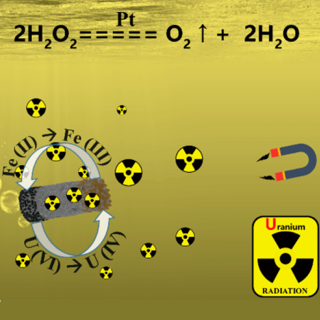 Schematic diagram of micromotor in uranium removal and the proposed mechanism.