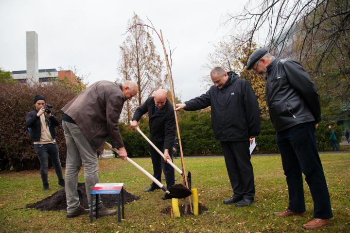 V kampusu Dejvice byla zasazena „masarykova“ lípa