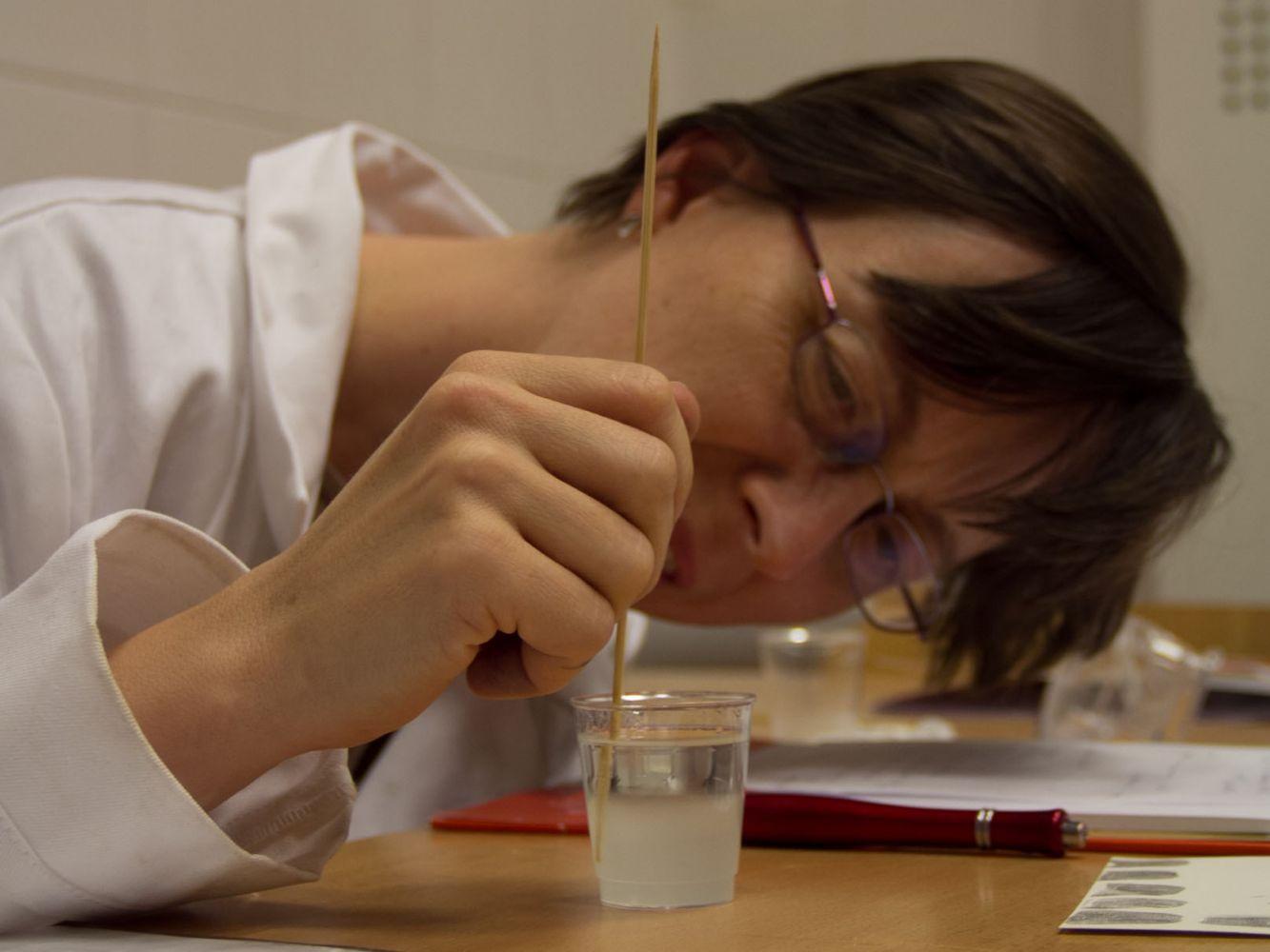 Workshopy pro účastníky soutěže Chemquest