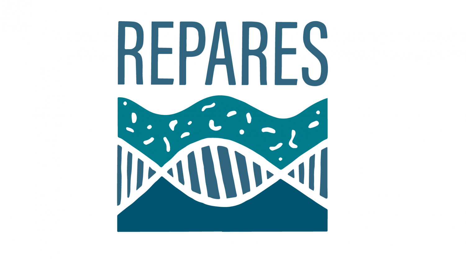 REPARES - nový evropský projekt
