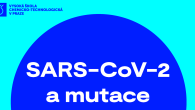 SARS-CoV-2 a mutace COVER FB