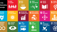 Cíle udržitelného rozvoje ws