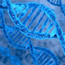 Biochemistry and Bioorganic Chemistry (double degree)