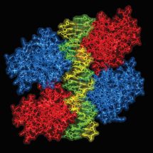 Bioinformatika a chemická informatika