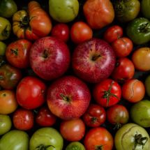 Vedrová Tereza-Jablka a rajčata- kouzlo ethylenu