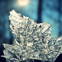Skleničková Kateřin-Ledový list (Leaf of ice)