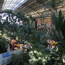 Nádraží Madrid Atocha je z části botanickou zahradou