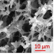 Obr. 3 - Unikátní mikrocelulární polystyrenová pěna s otevřenými bublinami