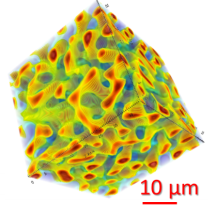 Obr. 4 - Předpovězená 3D struktura mikrocelulární polystyrenové pěny získané pomocí počítačové simulace