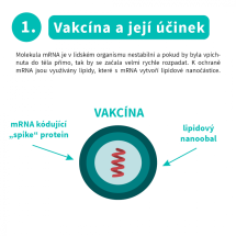 mRNA vakcíny (2)