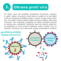 mRNA vakcíny (5)