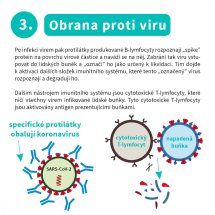 S-proteinové vakcíny (4)