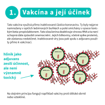 Vakcína inaktivovaných částic (2) 