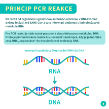 3_PCR6
