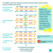 3_PCR11