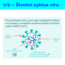 2 – Životní cyklus viru (1)