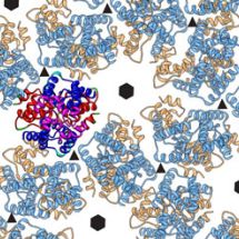 hexagonalni sit retovirovych proteinu tvorici nezralou kapsidu