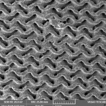 Porézní povrchy implantátu - snímek z elektronového mikroskopu - 15x