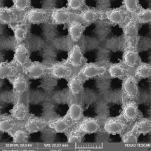 Porézní povrchy implantátu - snímek z elektronového mikroskopu - 50x_2