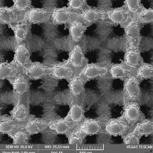 Porézní povrchy implantátu - snímek z elektronového mikroskopu - 50x_2