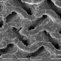 Porézní povrchy implantátu - snímek z elektronového mikroskopu - 50x_1