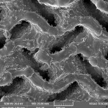 Porézní povrchy implantátu - snímek z elektronového mikroskopu - 50x_1