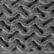 Porézní povrchy implantátu - snímek z elektronového mikroskopu - 30x