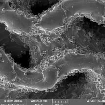 Porézní povrchy implantátu - snímek z elektronového mikroskopu - 100x_2