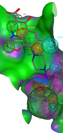 farmakoforový model KAT enzymu