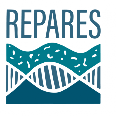 REPARES REPARES