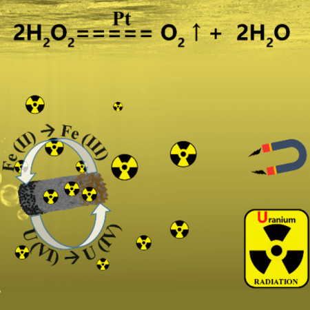 Schematic diagram of micromotor in uranium removal and the proposed mechanism. Schematic diagram of micromotor in uranium removal and the proposed mechanism.