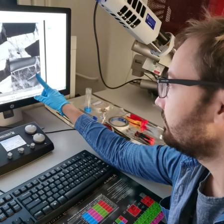 Ing. Lukáš Děkanovský ukazuje na snímku z elektronového mikroskopu Tescan estrogenové sítě vedoucí od těla mikrorobota Ing. Lukáš Děkanovský ukazuje na snímku z elektronového mikroskopu Tescan estrogenové sítě vedoucí od těla mikrorobota