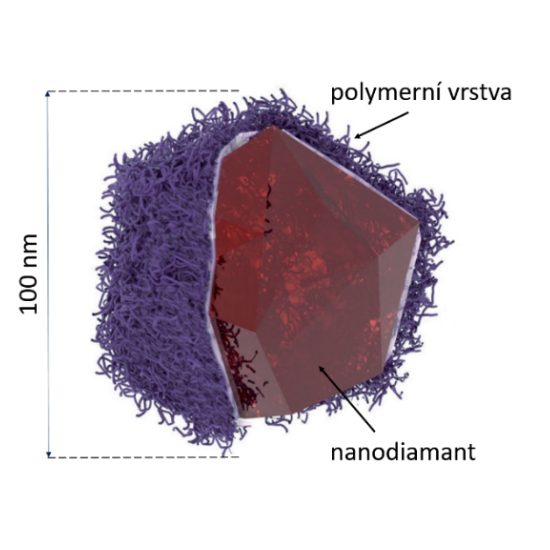 Obrázek 1a - Schématický nákres fluorescenčního nanodiamantu s povrchovou polymerní vrstvou Obrázek 1a - Schématický nákres fluorescenčního nanodiamantu s povrchovou polymerní vrstvou