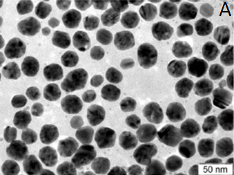 Obr. 1A - Nanočástice stříbra (35 nm) z pohledu transmisní elektronové mikroskopie