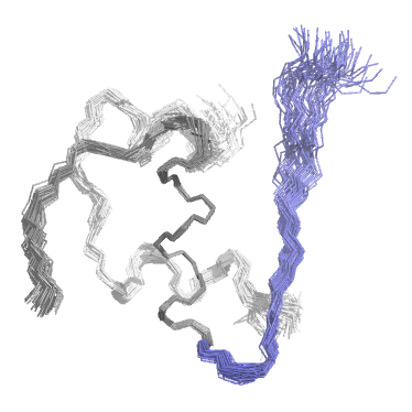 NMR - struktura insulinu NMR - struktura insulinu