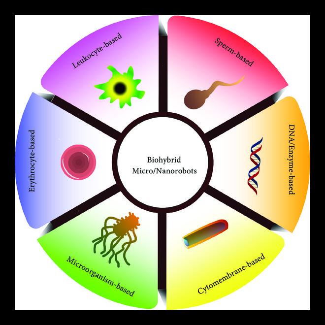 Biohybrid Micro- and Nanorobots for Intelligent Drug Delivery Biohybrid Micro- and Nanorobots for Intelligent Drug Delivery