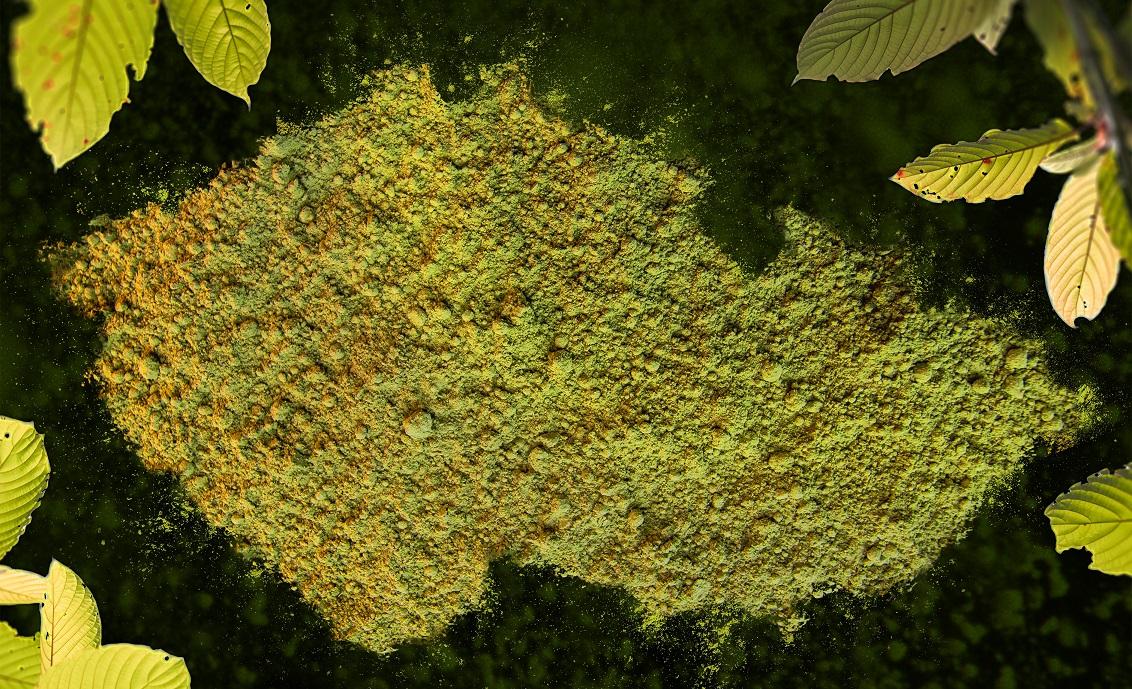 Kratom_CR-na-web Kratom_CR-na-web